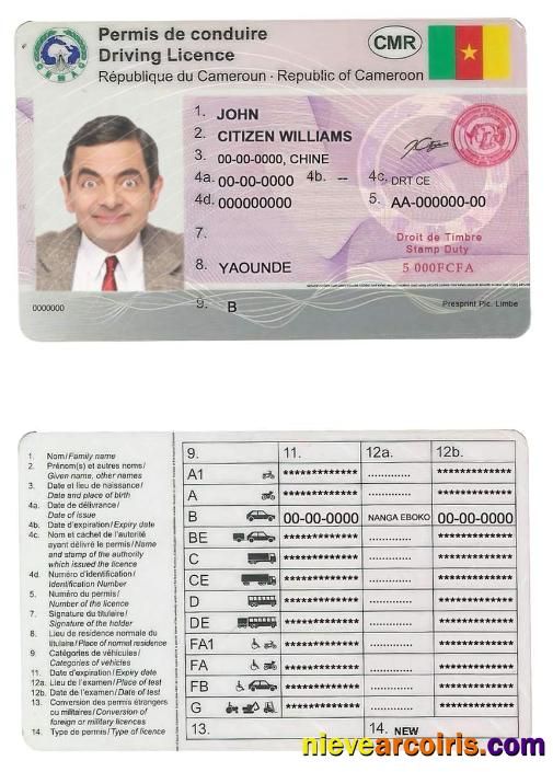 Cameroon driving license